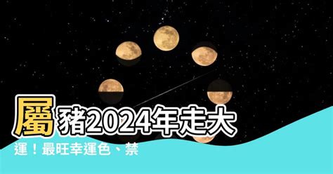 屬豬2024|【屬豬2024生肖運勢】暗湧頻生，運勢反覆｜屬豬運 